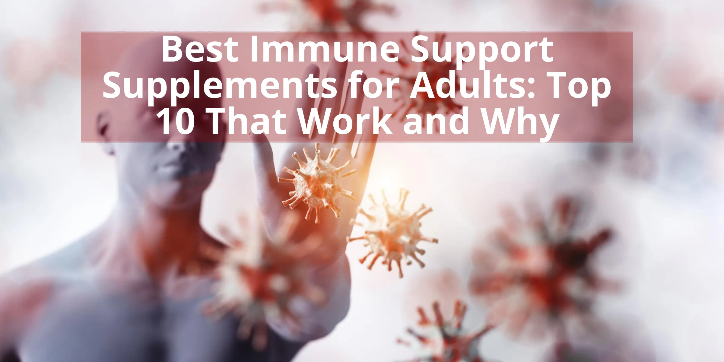 Best Immune Support Supplements for Adults