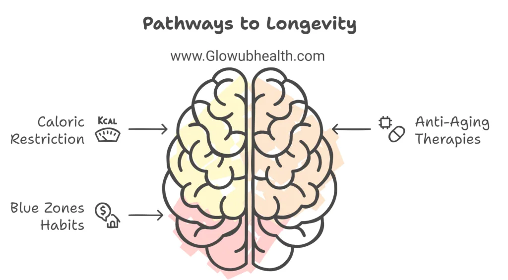 Aging and longevity