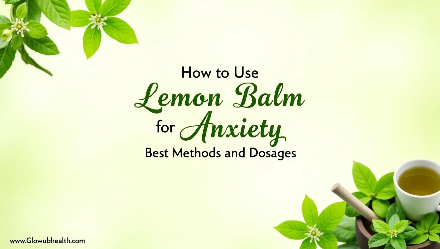 lemon balm for anxiety
