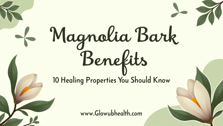 Magnolia Bark Benefits
