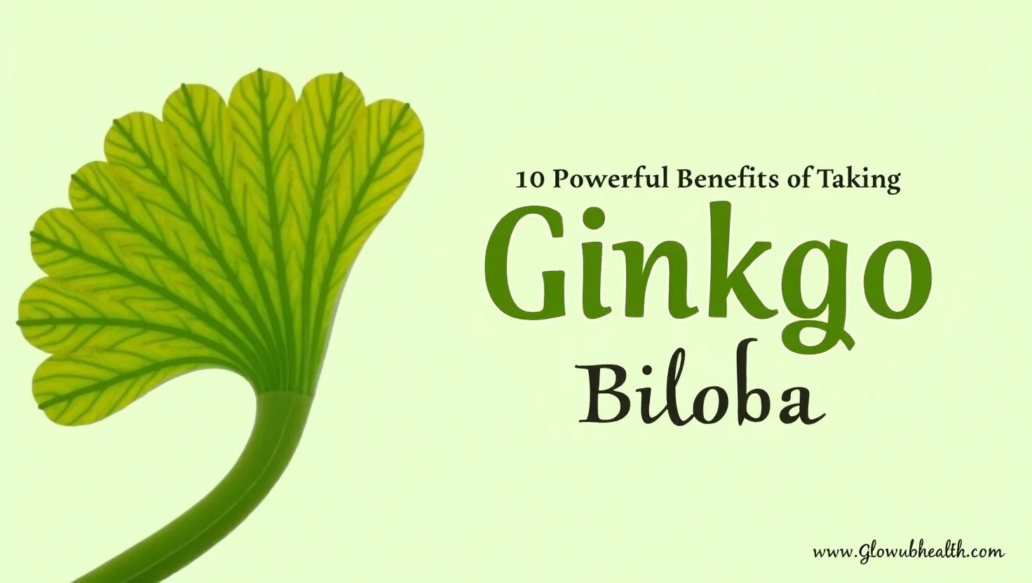 Benefits of Taking Ginkgo Biloba